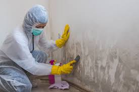 Best Residential Mold Inspection & Testing  in East Bethel, MN